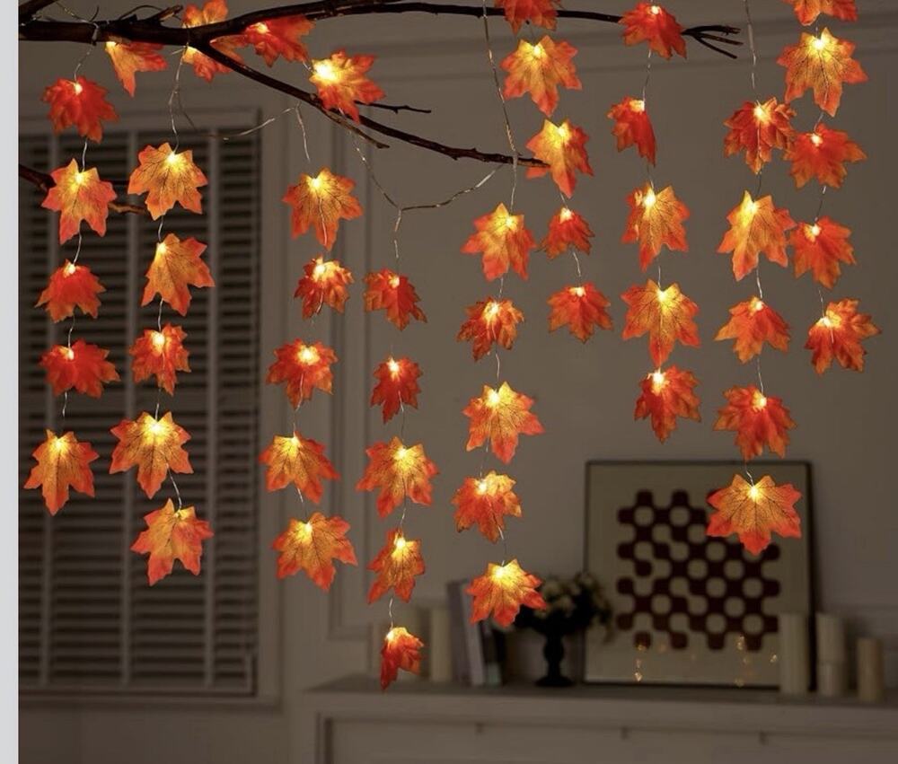 JOYIN Thanksgiving Decorations Maple Leaf lights 4.9 Ft